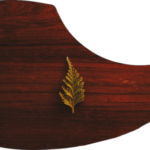 Red-cedar-e1581279271579.png