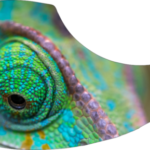 drop-pickupguard-camaleon-e1581553412598.png